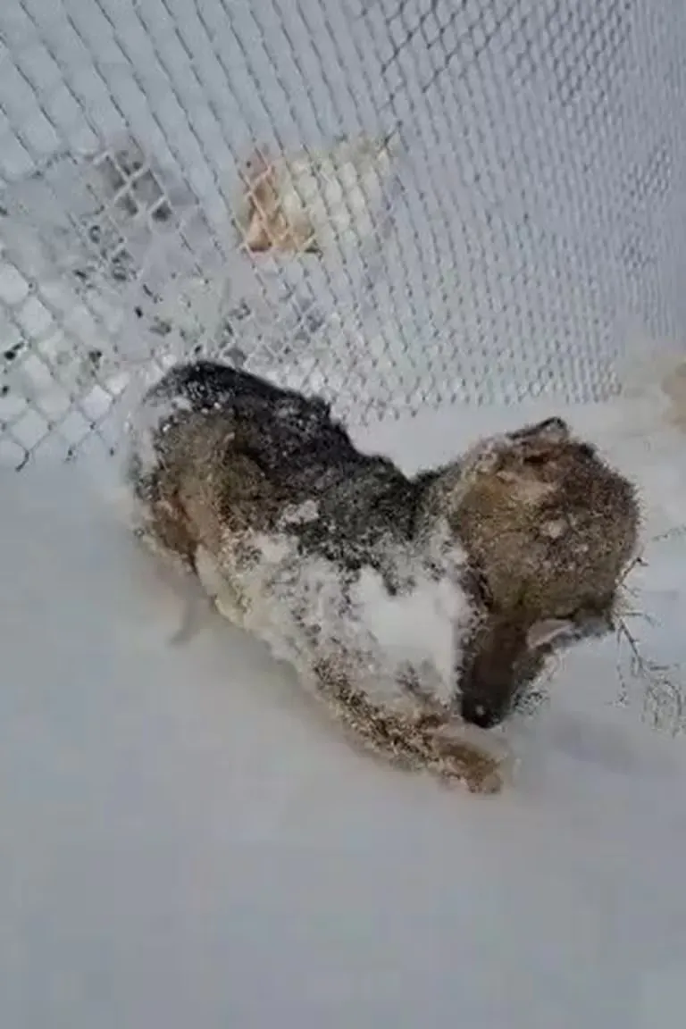 WhatsApp Image 2024-07-12 at 07.12.27