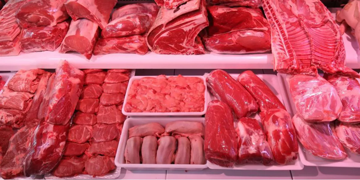 20210905-carne-00