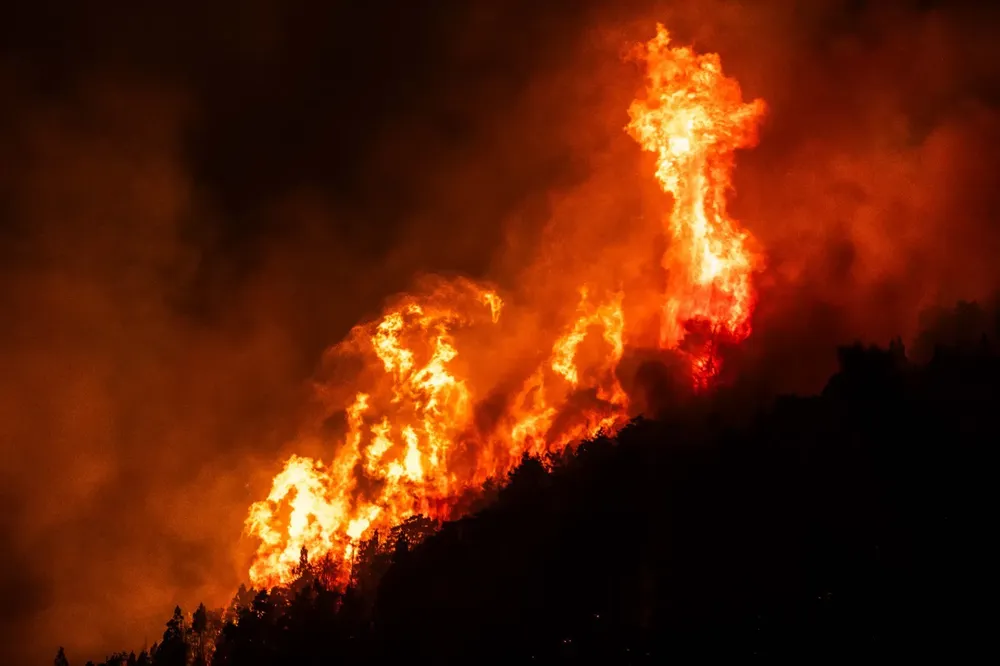 WhatsApp Image 2026-01-26 at 06.53.24