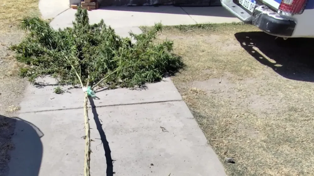 PORTADA PARA TODO SALTA