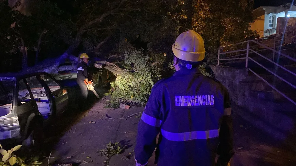 WhatsApp Image 2025-04-11 at 07.19.14 (1)