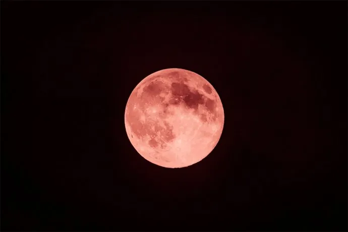 luna-fresa-2png