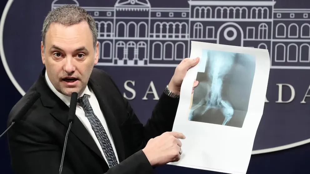 WhatsApp Image 2024-11-14 at 11.39.40