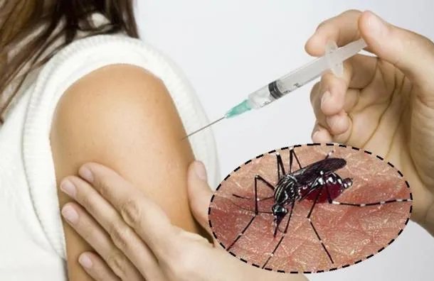 dengue-vacuna1