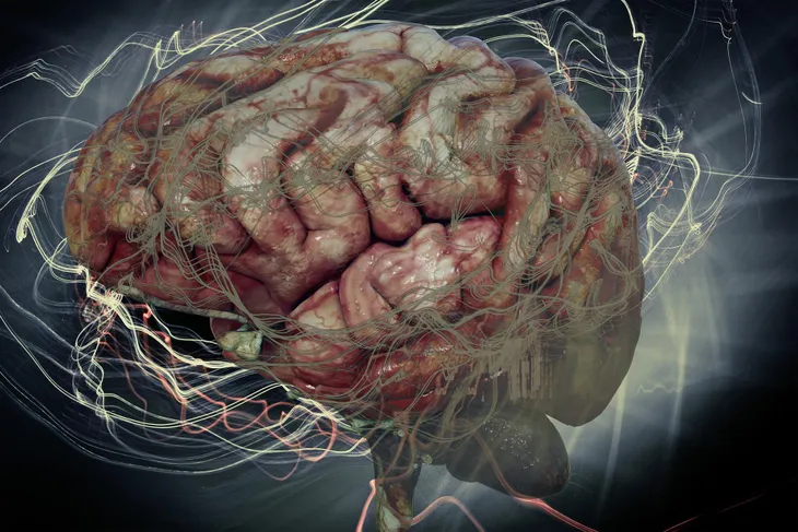 brain-6553821_1920jpg