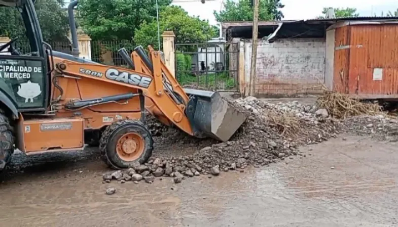 WhatsApp Image 2024-10-18 at 12.00.12