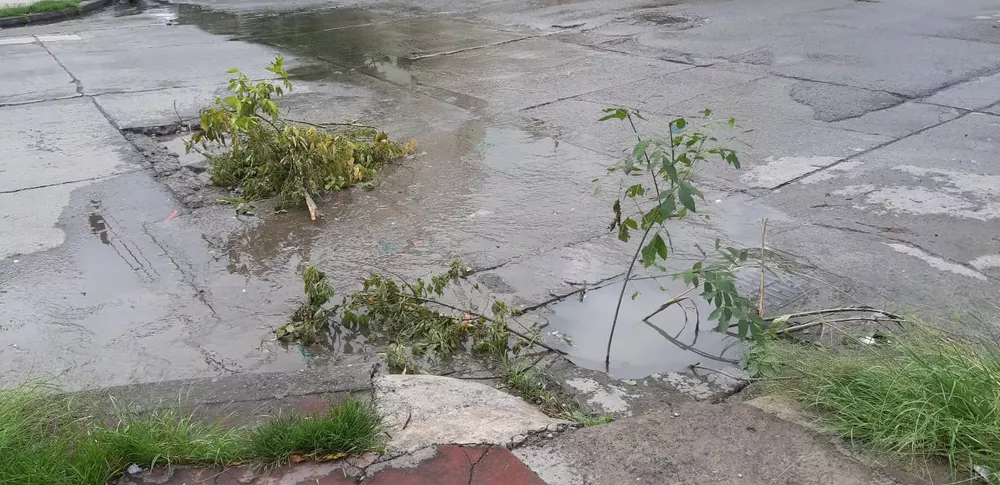 WhatsApp Image 2022-01-25 at 09.35.47