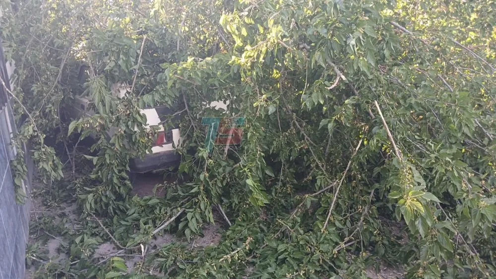 PORTADA PARA TODO SALTA (2)