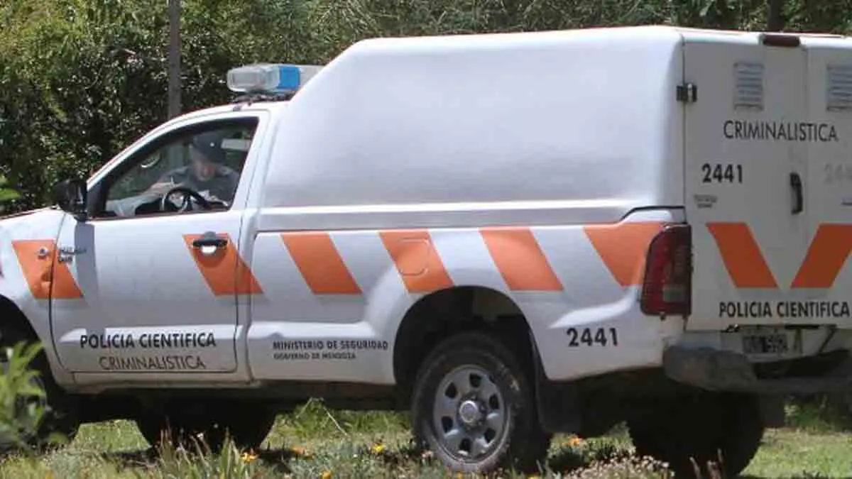 personal-la-policia-cientifica-la-provincia-trabajo-la-busqueda-mas-restos-la-zona-donde-un-perro-hallo-un-craneo-y-parte-un-torso-humano-un-descampado-lindero-la-calle-la-bodeguita-el-challao-las-heras-y-que-podria