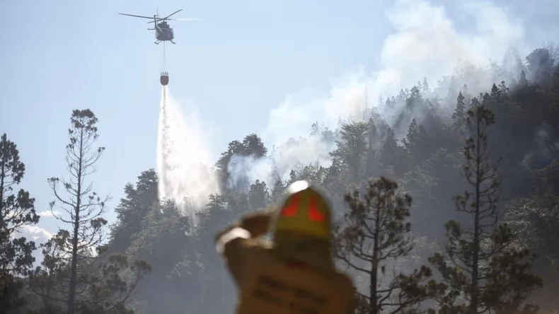 incendio-el-parque-nacional-los-alerces-01-02-24