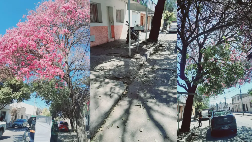 PORTADA PARA TODO SALTA