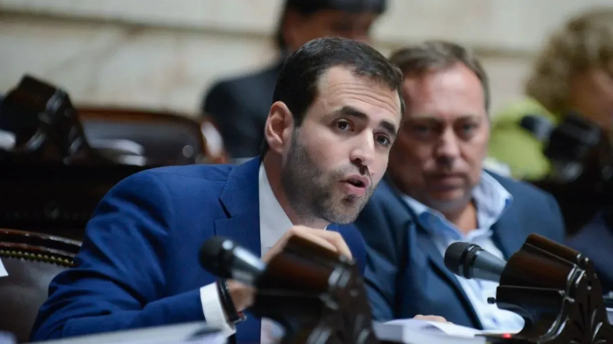 WhatsApp Image 2025-01-08 at 11.21.38