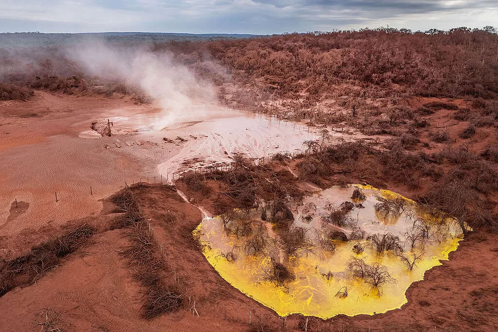 WhatsApp Image 2025-11-13 at 06.49.38