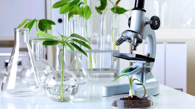 biotecnologia-investigacionjpg