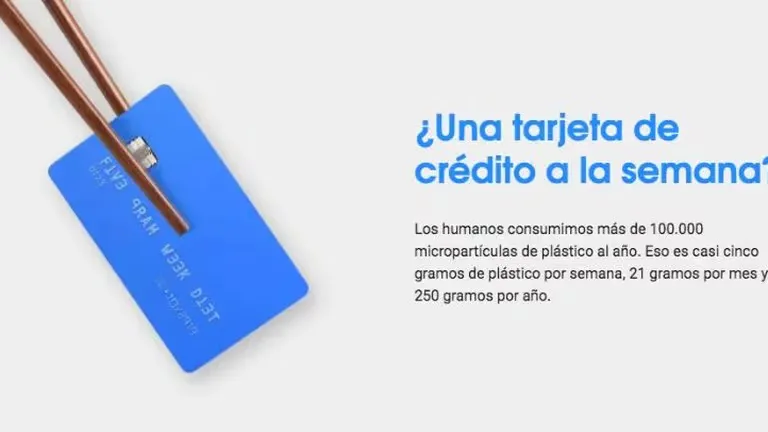 WhatsApp Image 2024-05-17 at 09.53.17