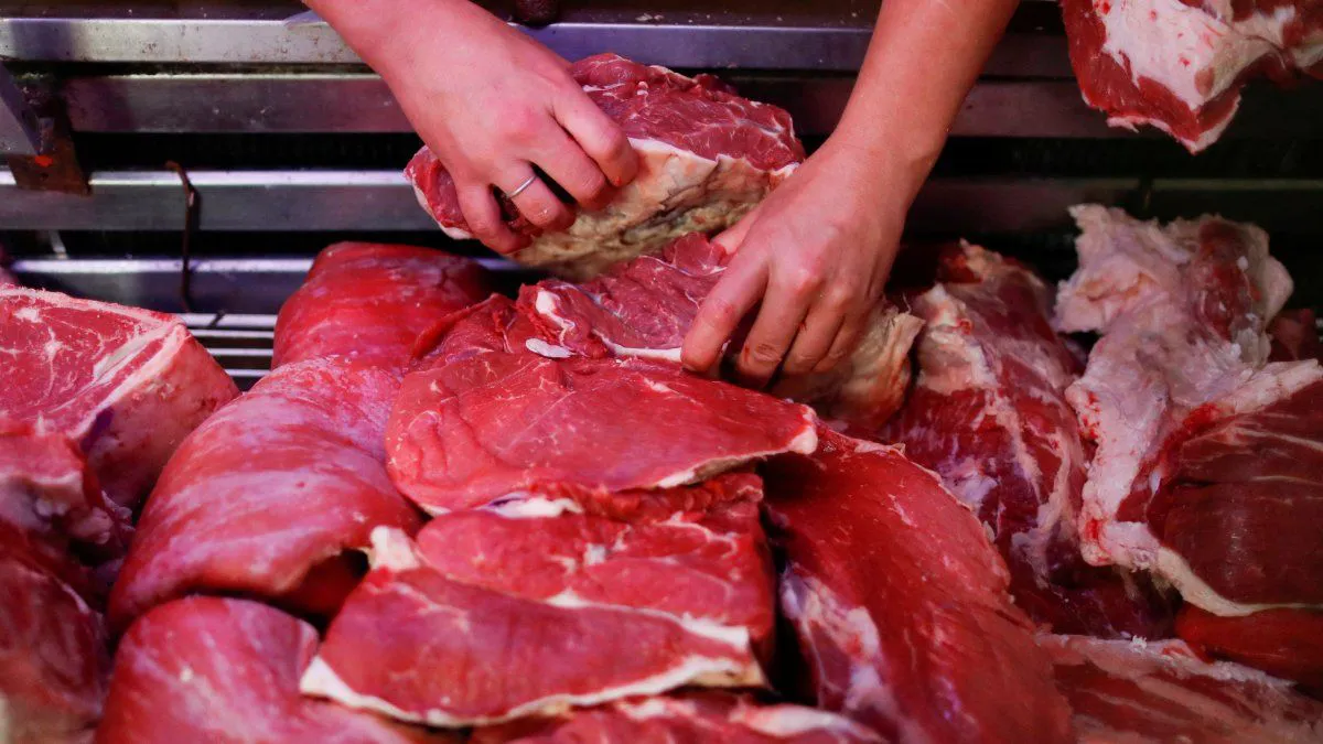 carne-carniceria