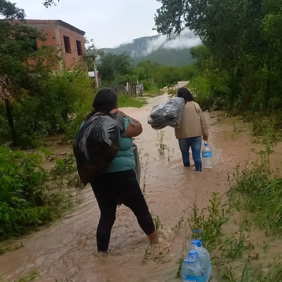 FB_IMG_1767542734889