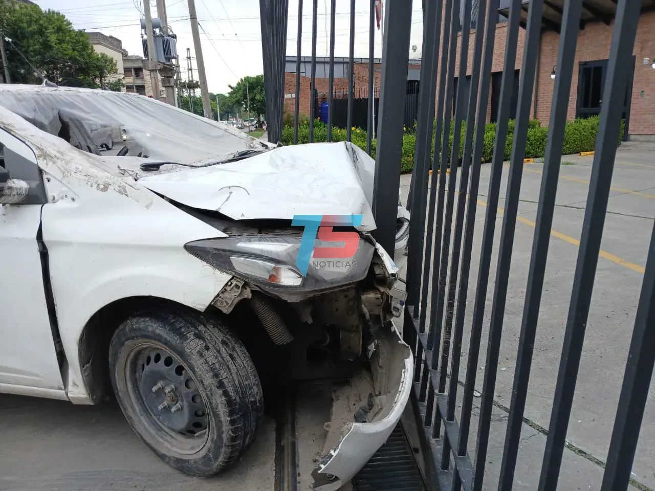 WhatsApp Image 2024-10-18 at 07.49.35