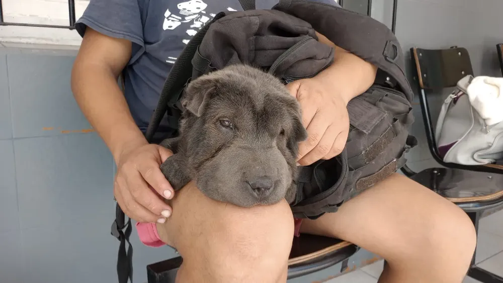 WhatsApp Image 2024-09-10 at 11.14.02