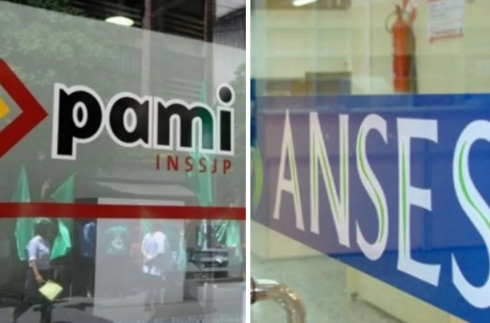 multimedia.normal.92e2d15d1432e679.70616d6920616e7365735f6e6f726d616c2e6a7067