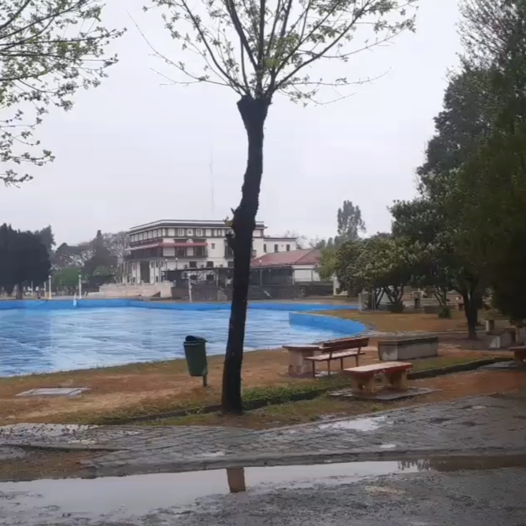 Diseño sin título (49)
