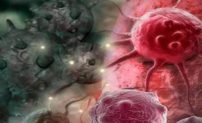 1339715celularcancerfocus00696423focus00696423-focus-0-0-696-423-2b769eed-focus-0-0-696-423