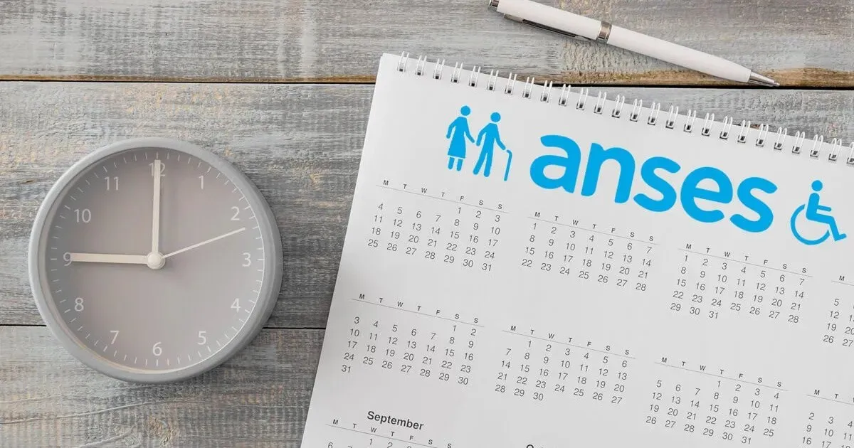 WhatsApp Image 2024-02-01 at 11.09.38