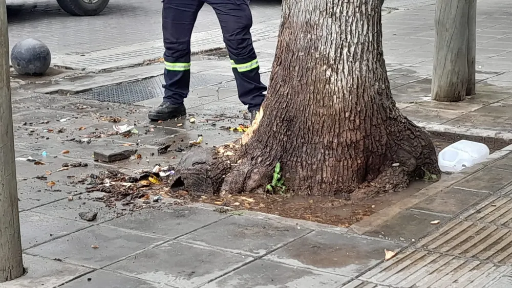 WhatsApp Image 2024-10-22 at 11.08.35