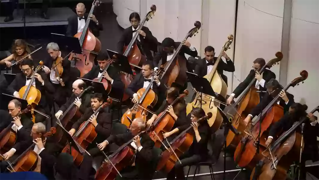 105208-salta-de-fiesta-abre-la-temporada-navidenia-con-un-concierto-coral-y-sinfonico