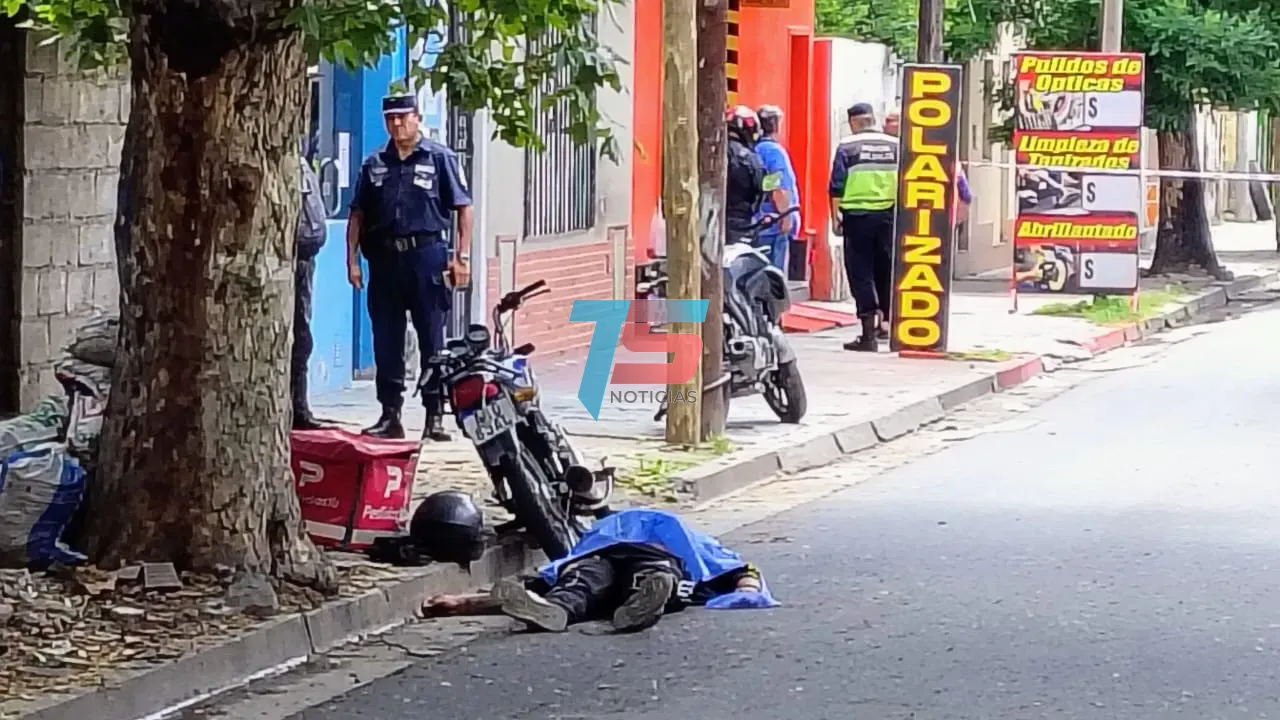 WhatsApp Image 2024-11-26 at 12.11.57 (1)