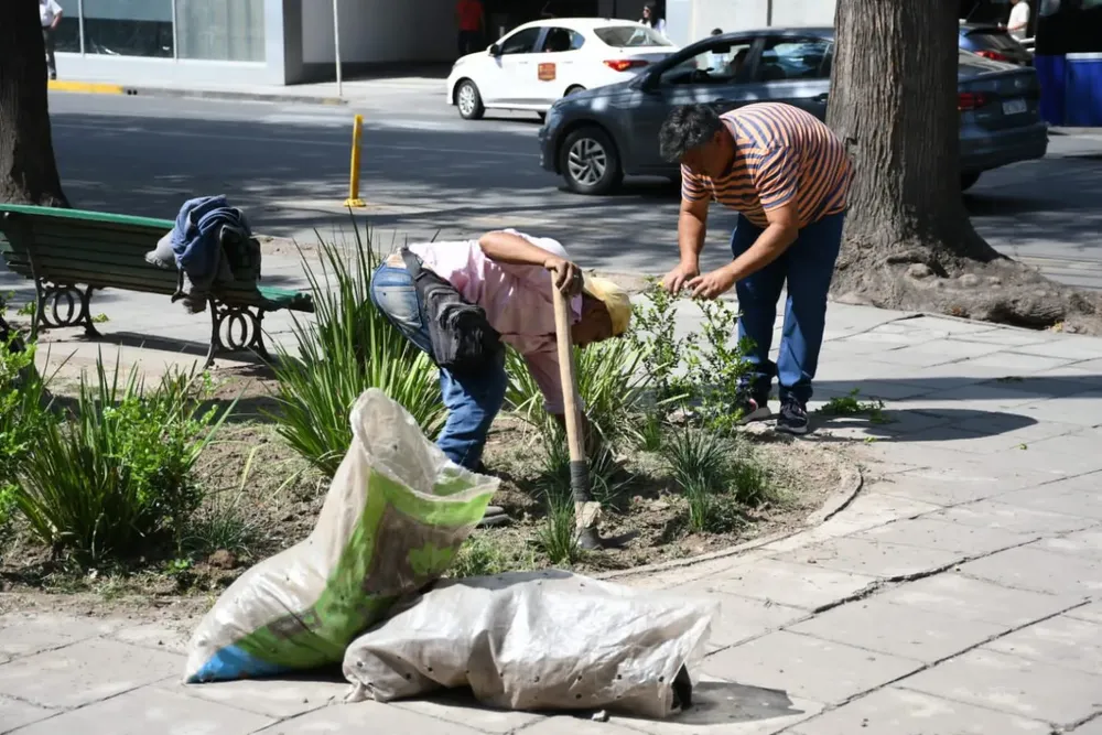 parquizacion-plaza-belgrano-1-1536x1024