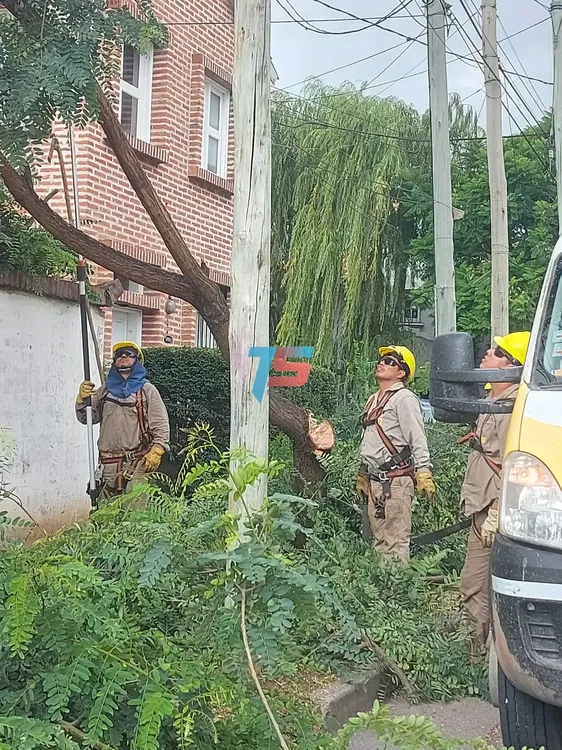 WhatsApp Image 2025-01-23 at 09.31.02