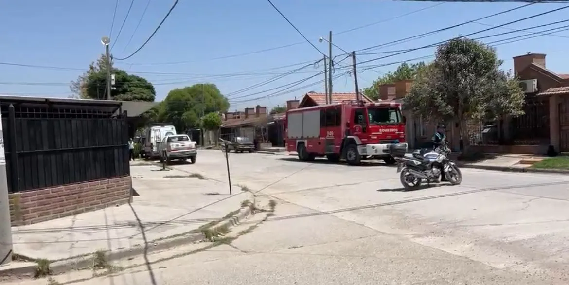 WhatsApp Image 2025-10-14 at 07.23.17