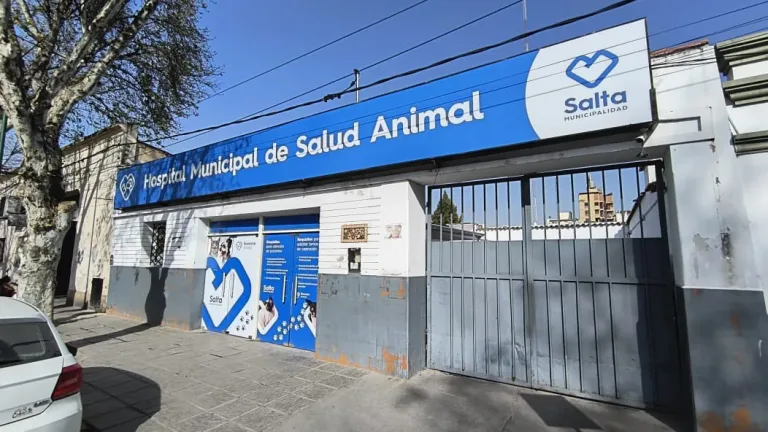 hospitalbienestaranimal-768x432