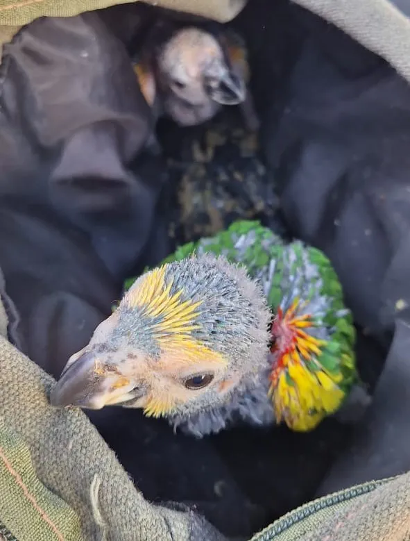 WhatsApp-Image-2024-12-22-at-9.33.32-PM-1