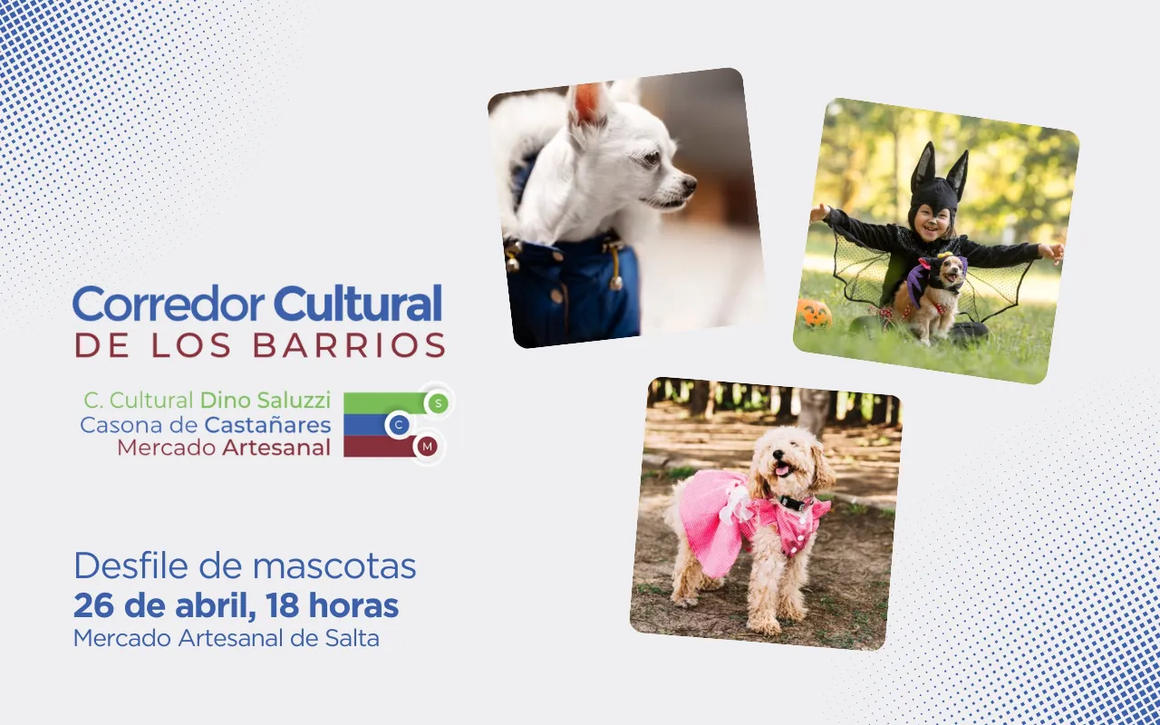 desfile-de-mascotas