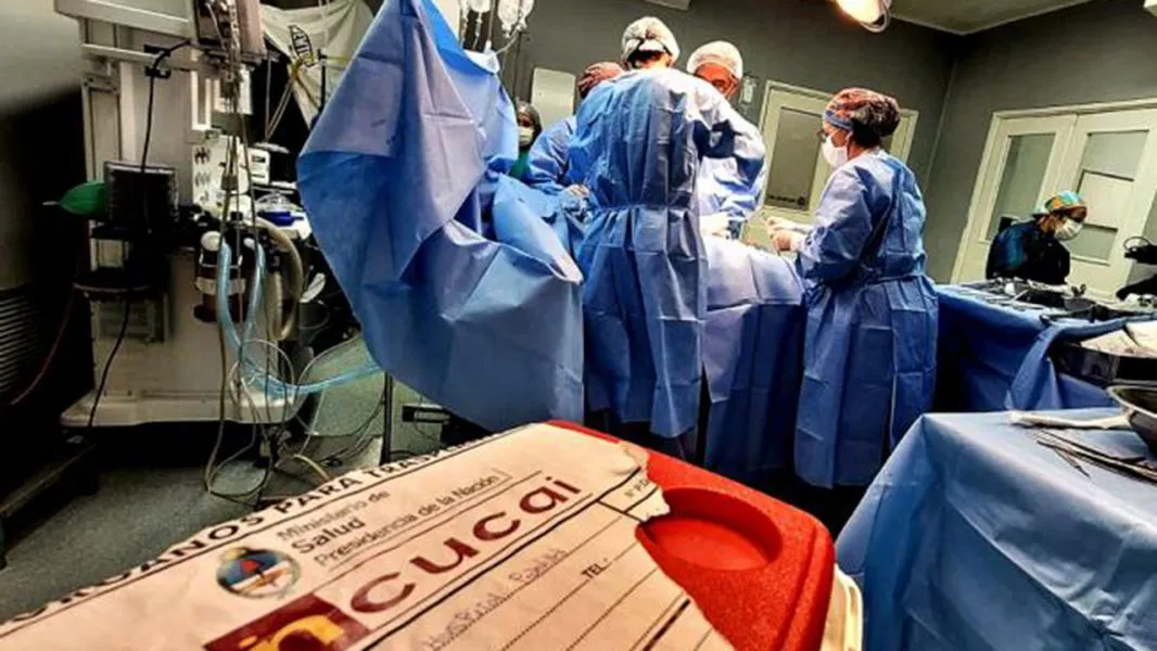 multimedia.normal.a6e9d9f636ac5b57.YWJsYWNpb24gZGUgb3JnYW5vc19ub3JtYWwud2VicA==