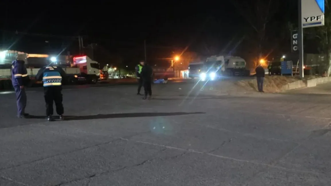 WhatsApp Image 2024-08-28 at 11.44.07