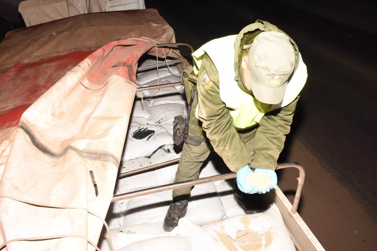 inspeccionan_dos_camiones_y_decomisan_mas_de_29.000_litros_de_aceite_de_soja_y_30.000_kilos_de_granos_que_tenian_inconsistencias_en_la_documentacion_3