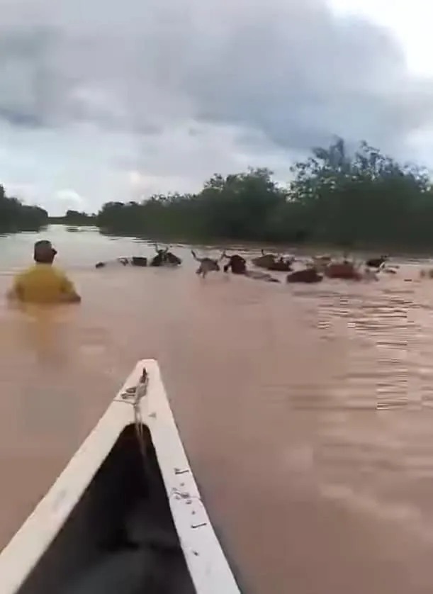 432480113_704896828519703_3617445846392001215_n