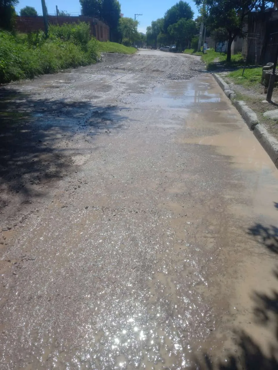 WhatsApp Image 2025-02-27 at 11.49.15