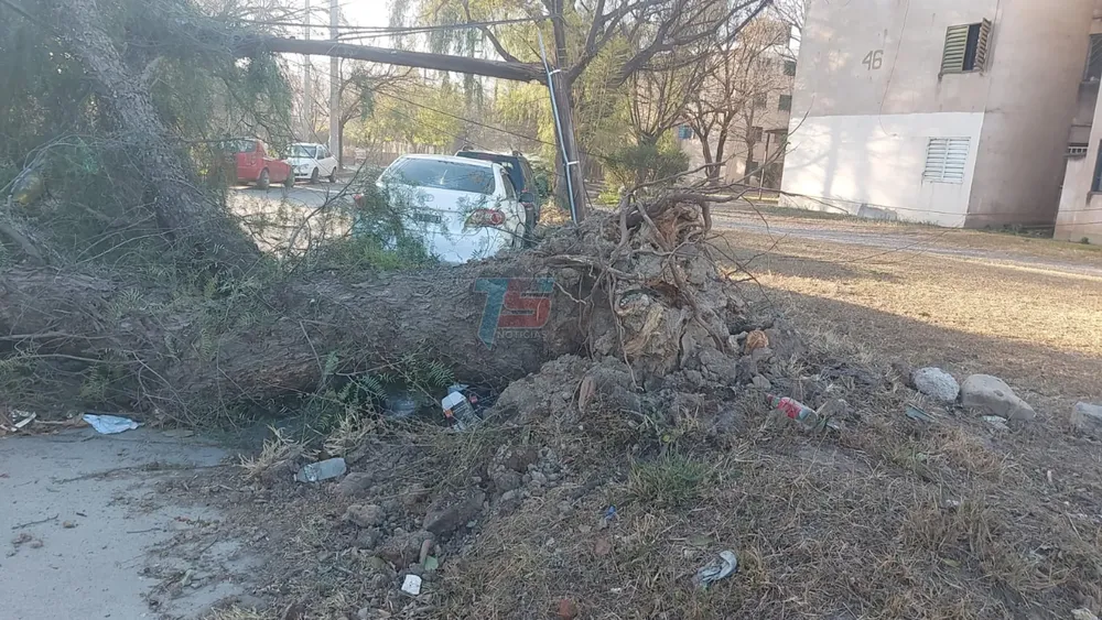 PORTADA PARA TODO SALTA (11)