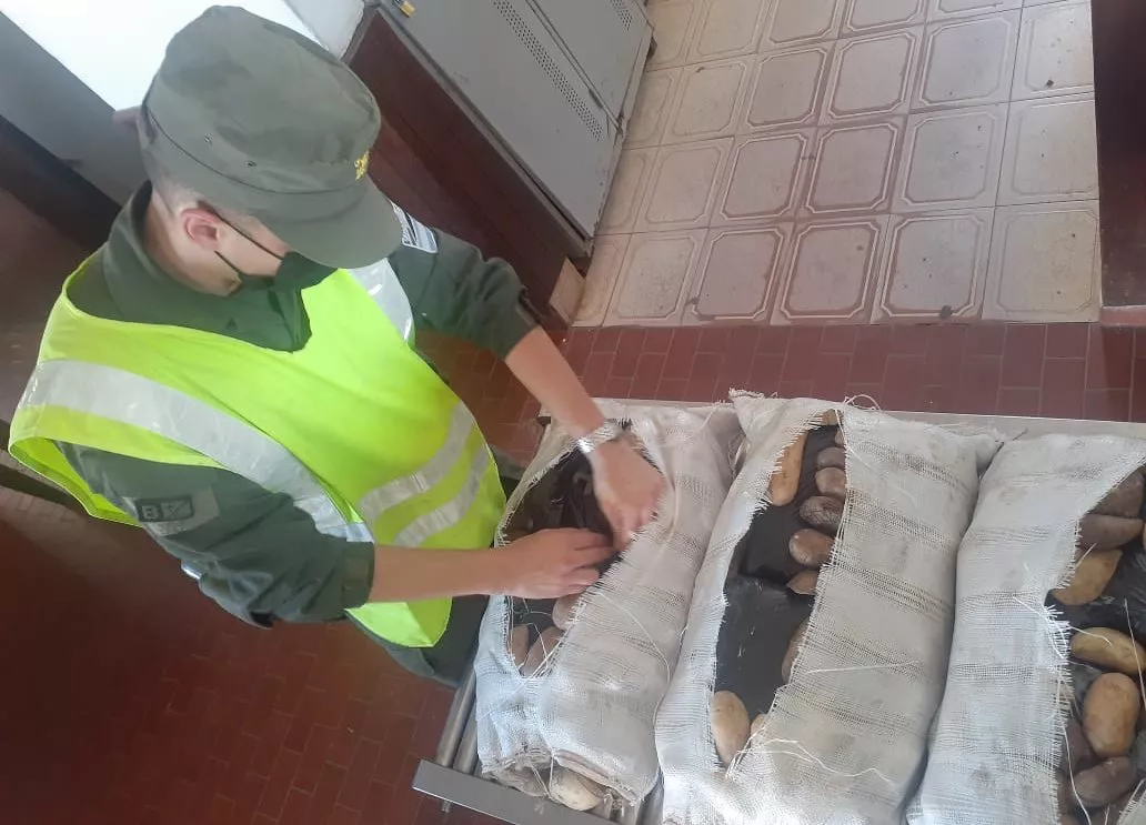 una_pareja_escondia_20_kilos_de_hojas_de_coca_en_tres_bolsas_de_papas_y_en_la_rueda_de_auxilio_2