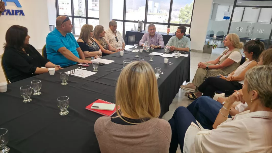 110263-salta-fijo-postura-frente-a-la-ley-de-discapacidad-para-defender-los-intereses-provinciales-en-el-congreso