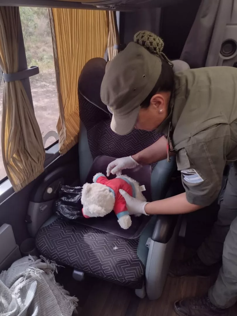 peluche_cocaina_esc_54