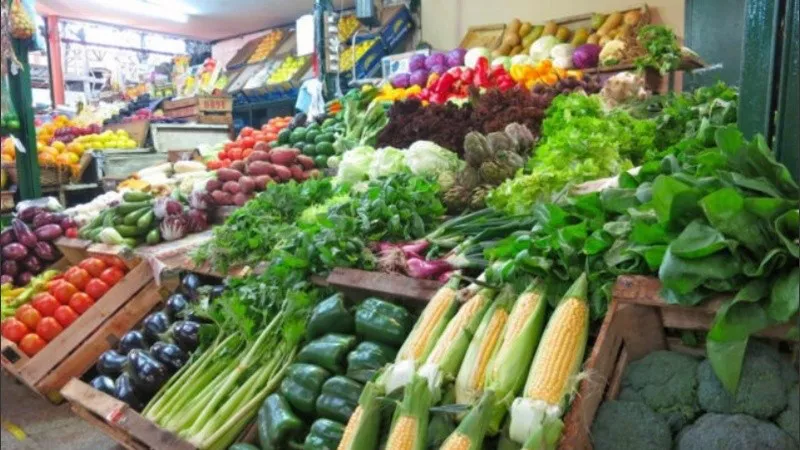 canasta_de_frutas_y_verduras_2.jpg_1756841869