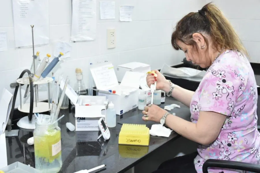 88768-informe-de-la-direccion-general-de-coordinacion-epidemiologica