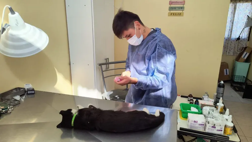 centro-castracion-soli2-1536x864