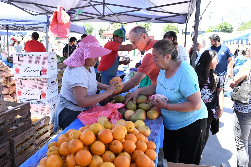 el-mercado-en-tu-barrio-plaza-espana-6-1024x682