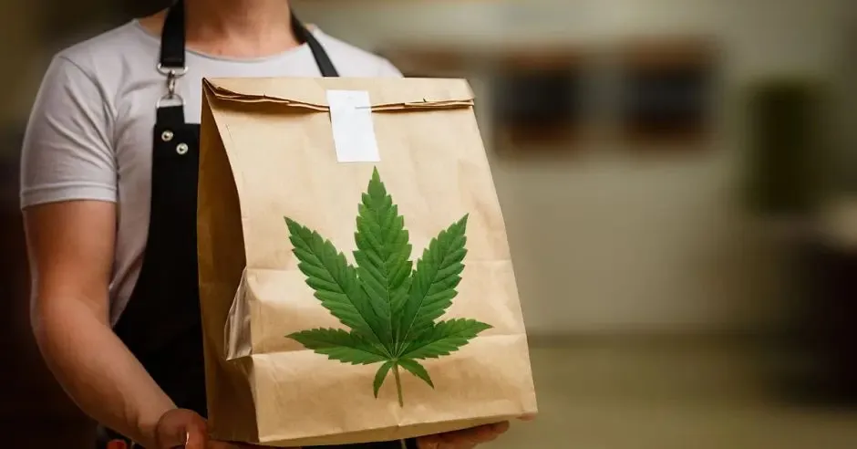 WhatsApp Image 2024-12-17 at 06.29.51